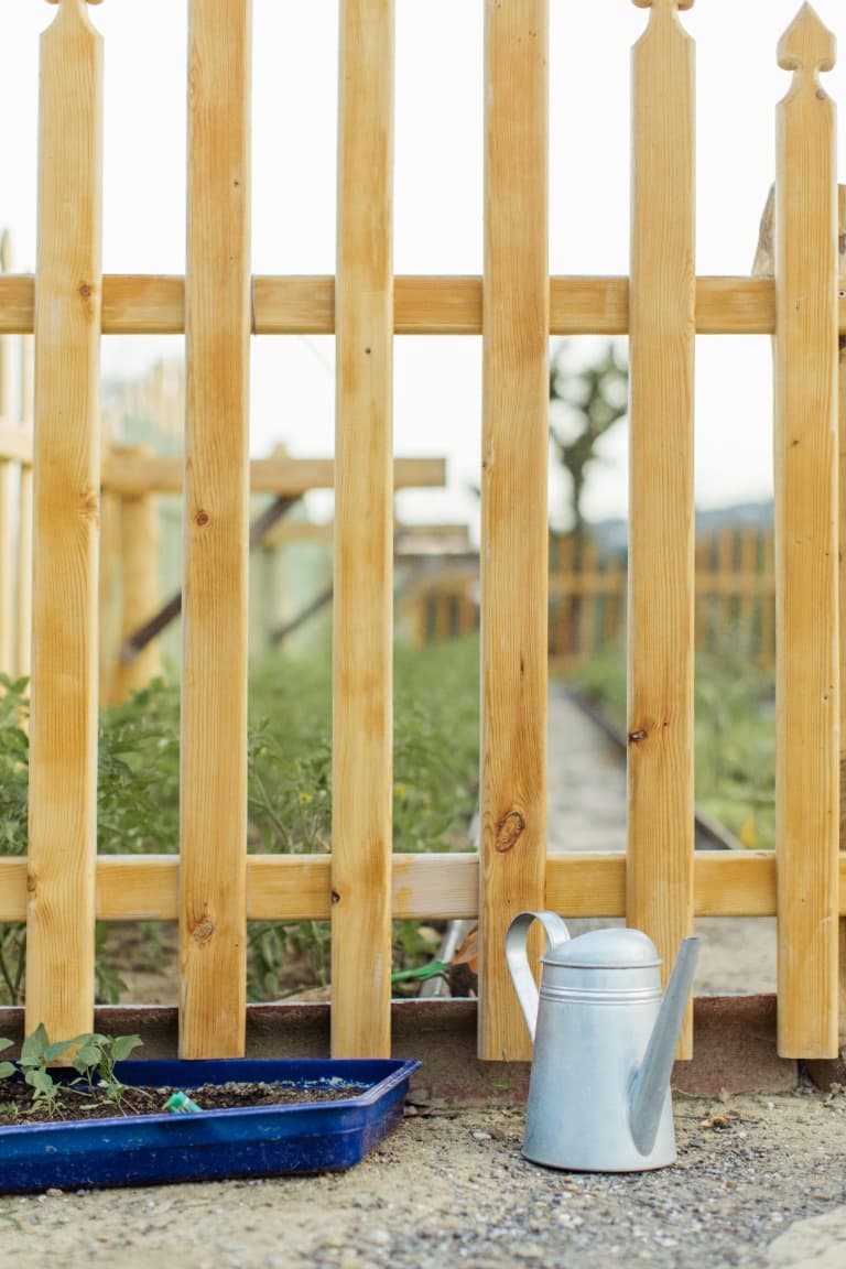 Groendak — sedum op schuur of uitbouw